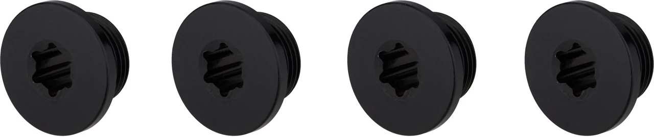 Campagnolo® Tornillos De Platos Ekar 3 Campagnolo® Tornillos De Platos Ekar