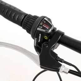 Youin You-Ride Barcelona 9 Youin You-Ride Barcelona - Imagen 7